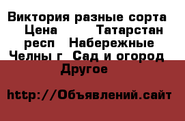 Виктория разные сорта  › Цена ­ 30 - Татарстан респ., Набережные Челны г. Сад и огород » Другое   